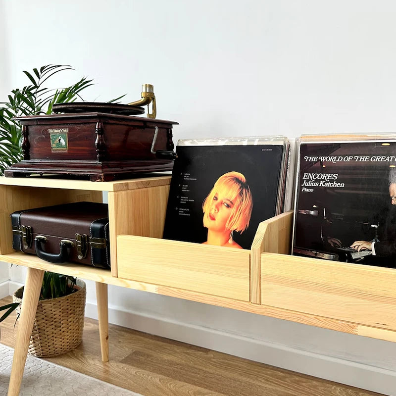 Wood Record Player Stand, Plywood Panel Style Cabinet, Modern Living Room Furniture, Custom Home Furniture, Heavy Duty Console